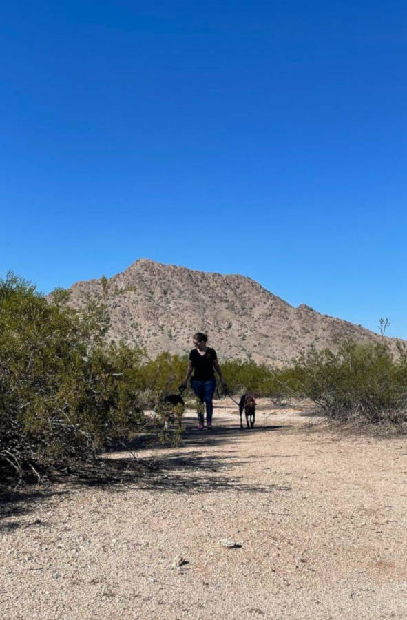 Trainer, dogs and the desert